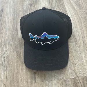 NWOT Patagonia Men’s Baseball Cap OS